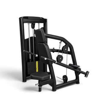 NW 1060 TRICEPS PRESS