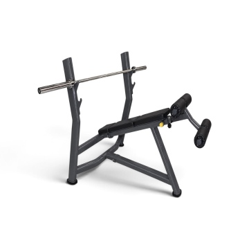 X-ST 1560 DECLINE BENCH PRESS