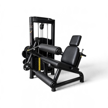 NW 1110 SEATED LEG EXTENSION CURLL COMBO